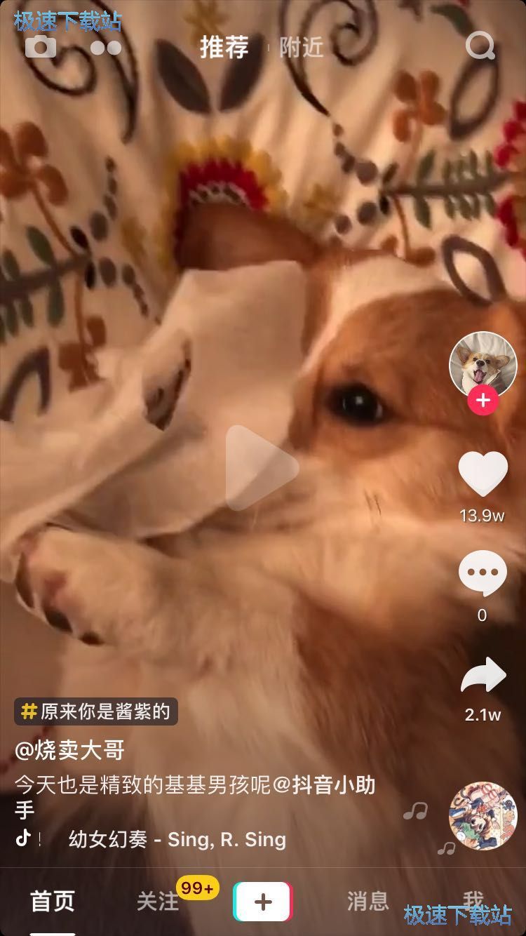 下载无水印视频教程