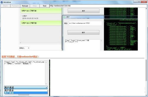 miniblink����ʹ�ý�ѧ
