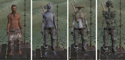 图:个高度自在的敞开国际中,怎么生计