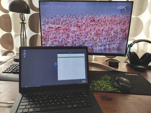 ͼƷPinebook ProʼǱо΢ARM