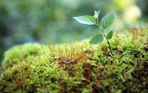 ͼϵwin7ϵʼǱרõĻҫ״ô죿