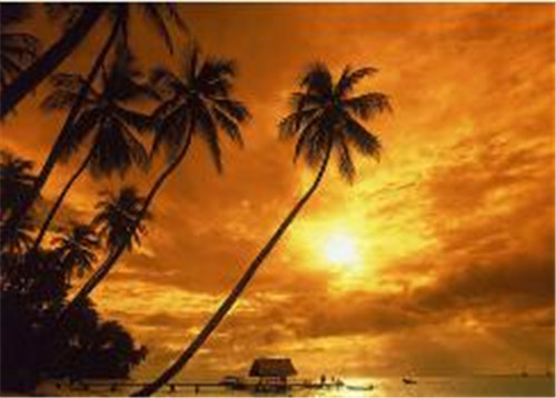 Centos6.464밲װMYSQL5.6.12̳