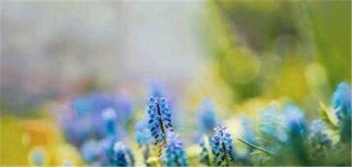 Centos6.464밲װMYSQL5.6.12̳