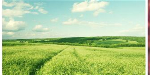 CentosRPMʽװMYSQL5.5̳