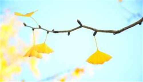 Linux cronִmysqlʧܣ⣩̳