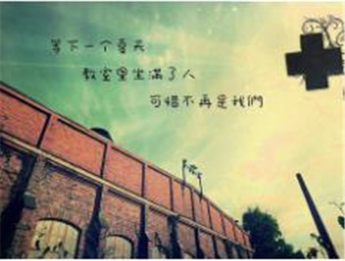 LINUX关于MYSQL镜像说数据库的建立教程