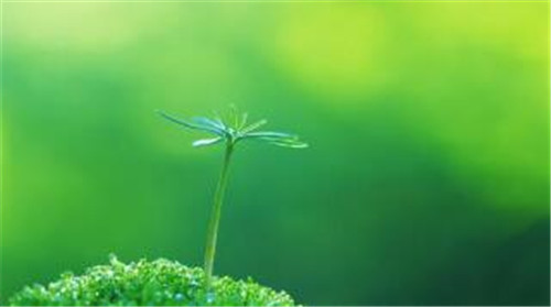 笔记本电脑运行很慢改良教程