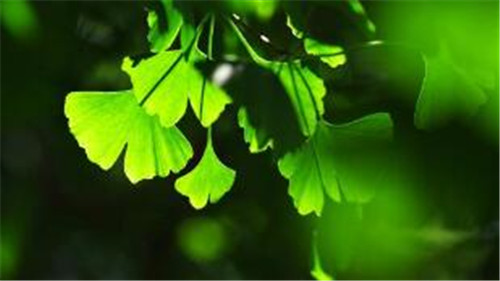 笔记本电脑运行很慢改良教程