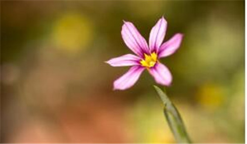 笔记本电脑运行太慢更换什么零件能够解决