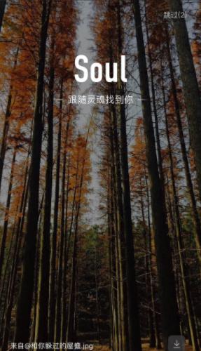 ͼsoul