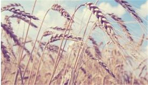 win10λ߽Ctrl+Escϼ̳