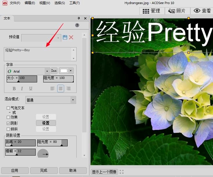 ACDSeeʹý̳̣ACDSee༭ͼƬϸ