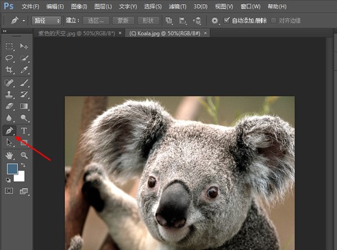 Photoshop7.0怎么用?Photoshop7.0使用帮助