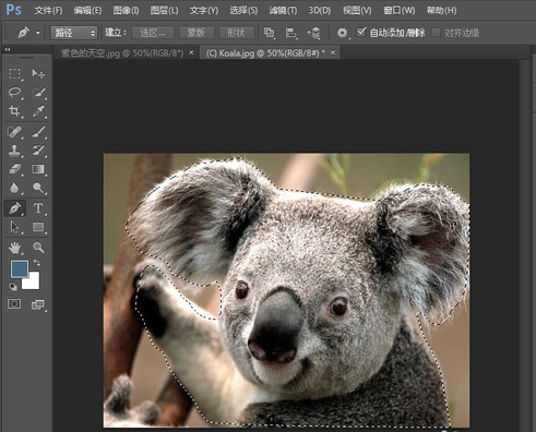 Photoshop7.0怎么用?Photoshop7.0使用帮助
