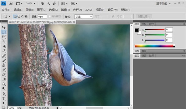 Adobe Photoshop CS4ûʹָ