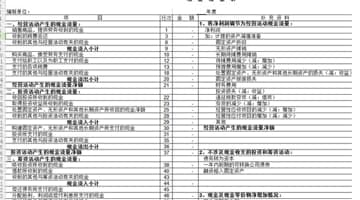 怎么使用现金流量表表格