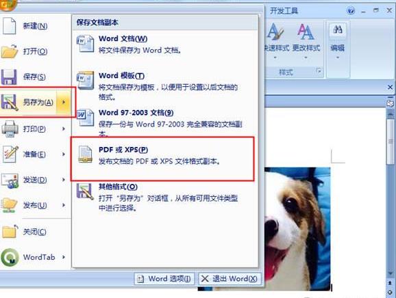 wpsתpdf