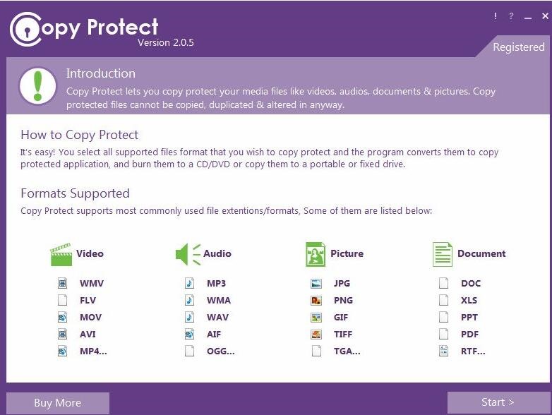ļCopy Protectٷʹ÷