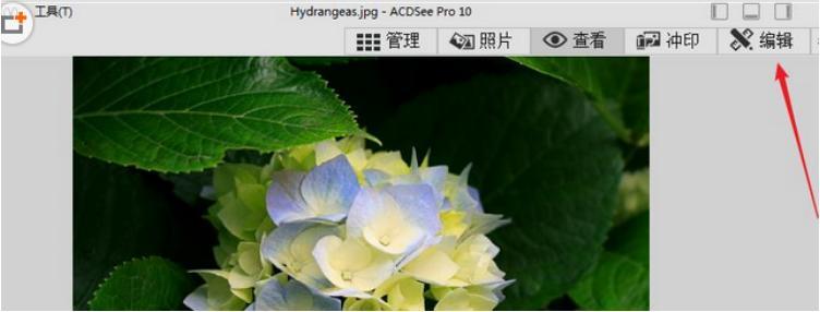 使用acdsee进行编辑图片的详细步骤