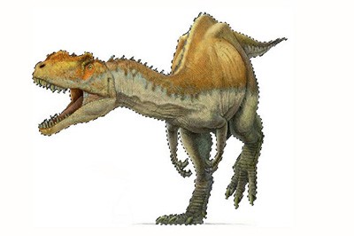 Photoshop CS4ͼƬ뱳