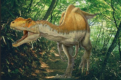 Photoshop CS4ͼƬ뱳