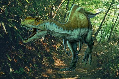 Photoshop CS4ͼƬ뱳