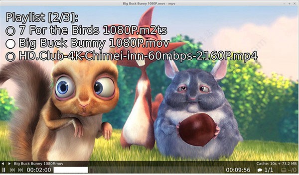 mpvMPV-EASY Playerʹý