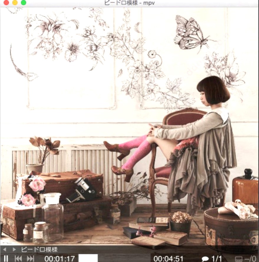 mpvMPV-EASY Playerʹý