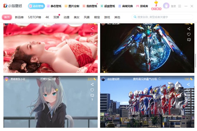 小鸟壁纸官方版下载及安装教程详细介绍