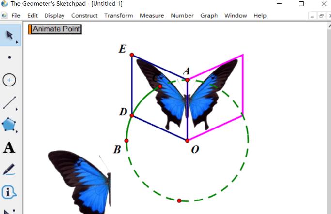 几何画板制作蝴蝶动画