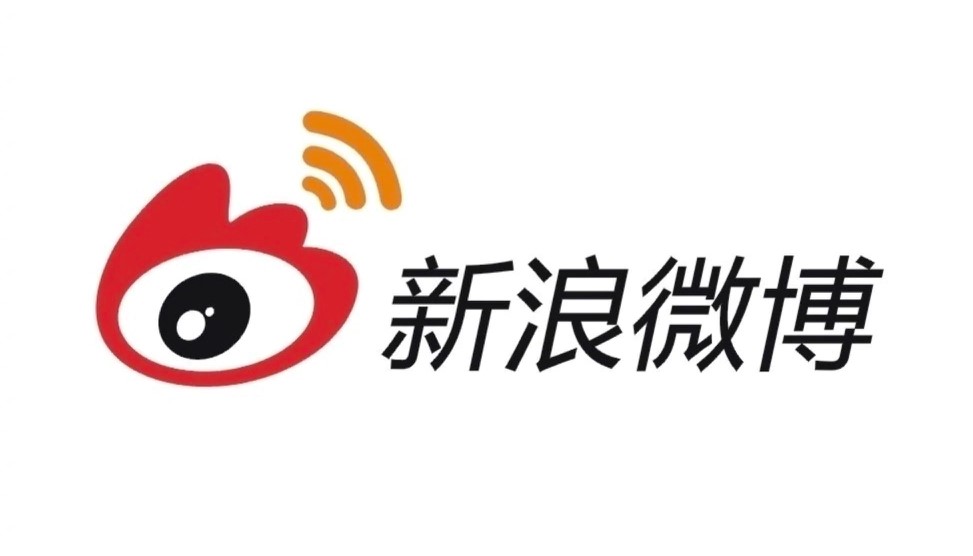 ΢ͶƱˢƱɫϸܼʹ˵