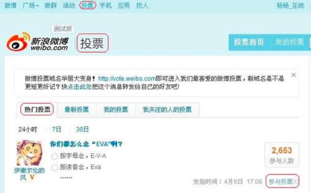 ΢ͶƱˢƱɫϸܼʹ˵