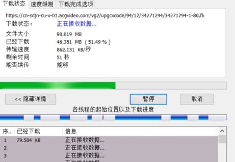 怎么使用Internetdownloadmanager