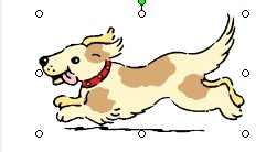 RonyaSoft Poster Designer֡ѧ