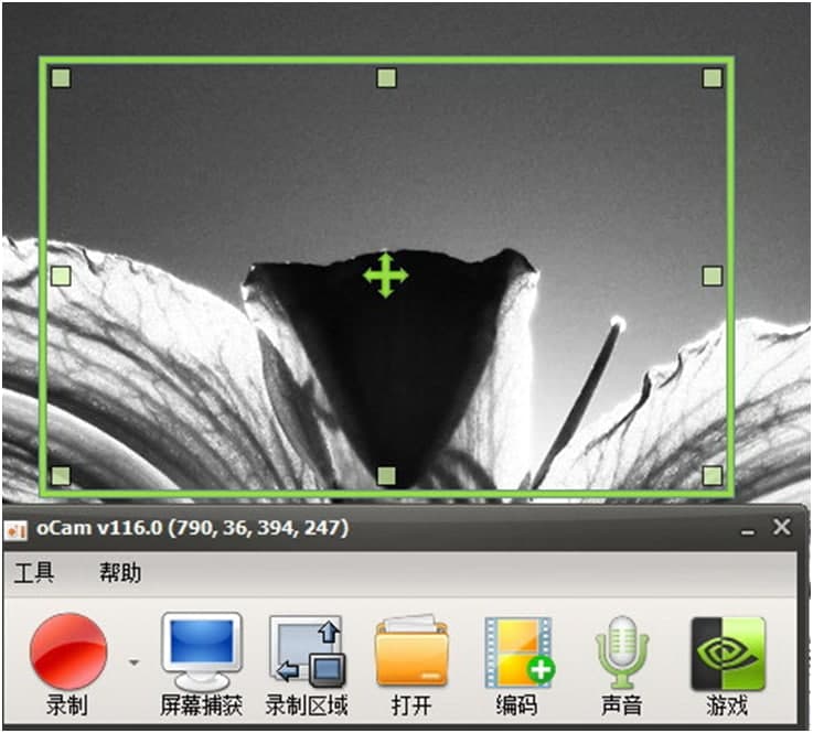 ocamĻ¼Ƶ԰湦صʹý̳