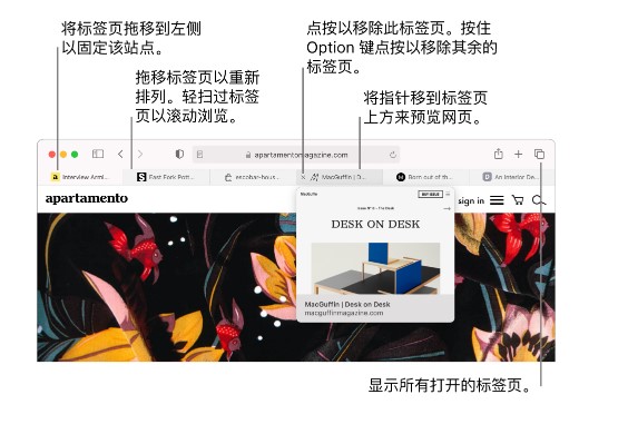 AppleSafariԶʼҳýѧ