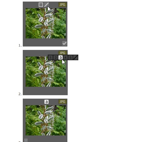 ACDSee“ӡ”“༭”ģʽͼĽѧ