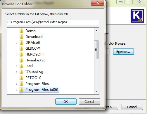 Kernel Video Repairװ
