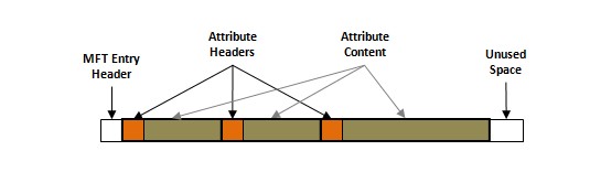 RecoverMyFilesٷʹó