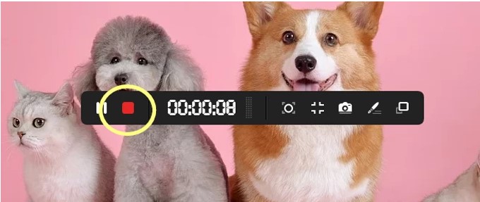 ¼ApowerRECƵ༭ͼĽѧ