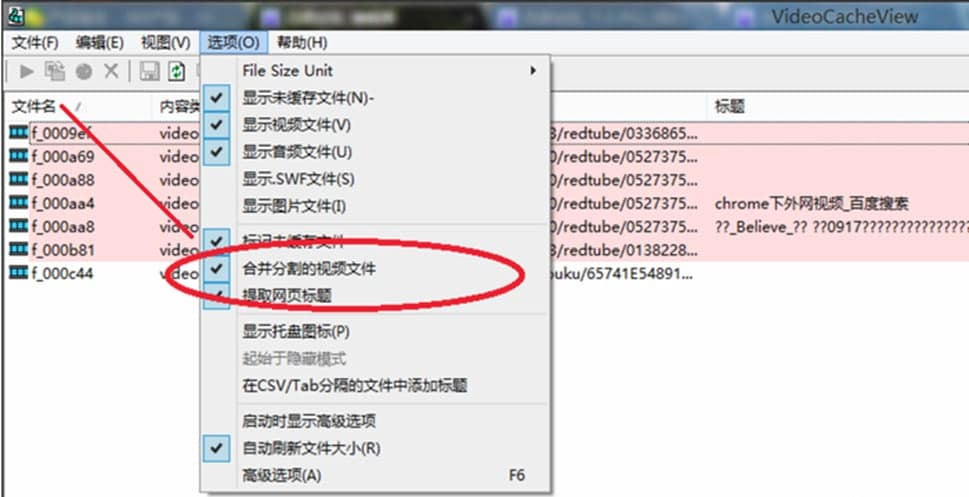 Video Cache Viewܼܽ