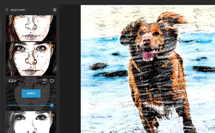 Image Cartoonizer PremiumƬתѧ