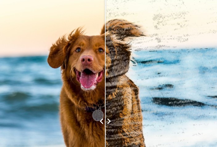 Image Cartoonizer PremiumƬתѧ