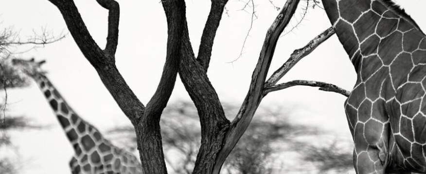 Zoner Photo Studio Xģ鴴ѧ