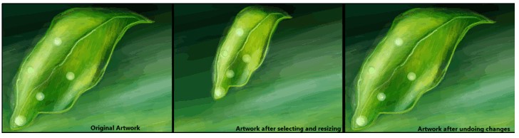 FreehandPainterͼĽѧ