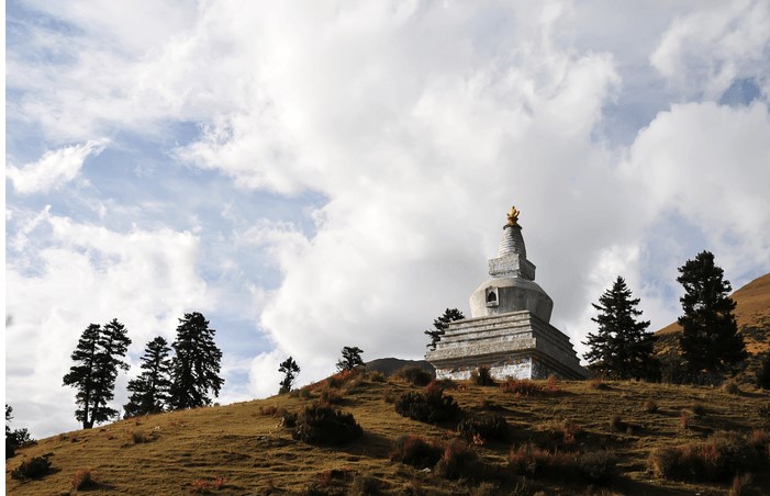 Alien Skin Exposureɫյڽѧ