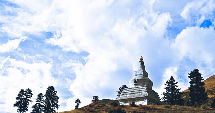 Alien Skin Exposureɫյڽѧ