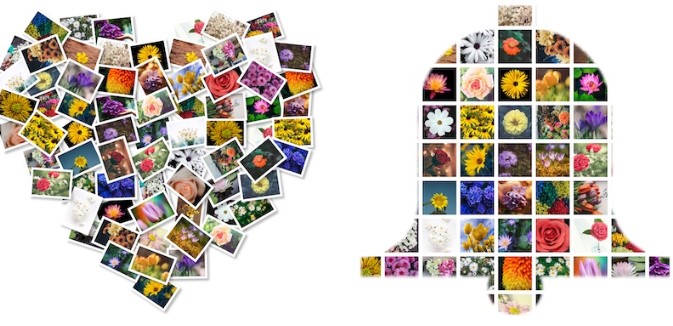 FigrCollageٷʹͼĽѧ