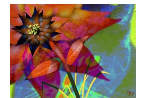 ArtRage StudioٷļʹͼĽѧ