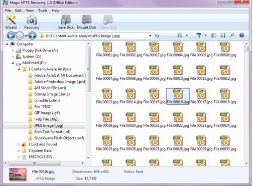 Magic NTFS Recoveryٷʹð